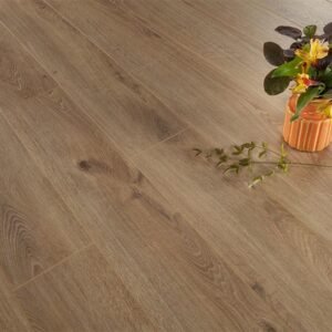 Series Woods Professional 10mm Laminate Flooring Light Oak - Image 1
