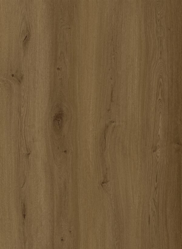 EL017-Timberstone Oak (3)