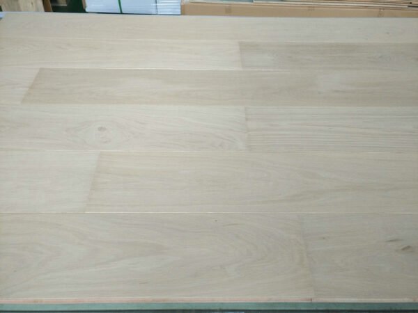 OE20494P (3)